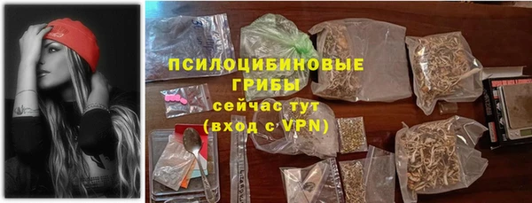 спайс Арсеньев